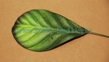 Лист плюмерии  ― Hobby-Land