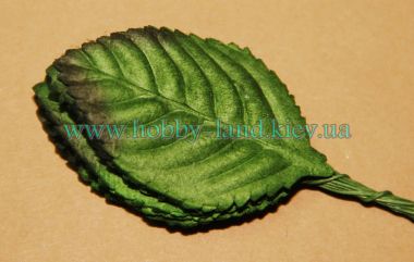 Лист универсальный декоративный  М  10шт в пучке ― Hobby-Land