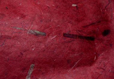 Бумага №9 однотонная с вкраплениями листьев и травы - бордо ― Hobby-Land