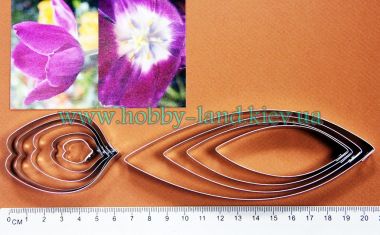 Каттер тюльпана set ― Hobby-Land