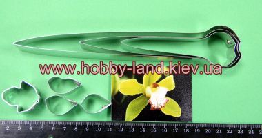 Каттер цимбидиум  М №2 ― Hobby-Land