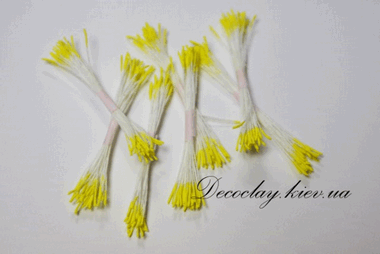 Длинные мелкие  желтые тычинки на белой нитке ― Hobby-Land