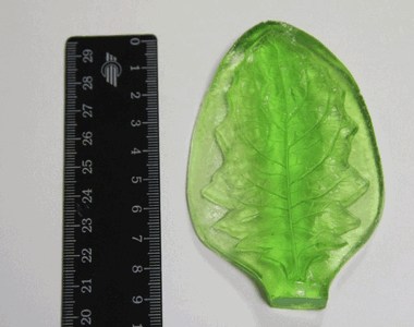 Молд листа Герберы S ― Hobby-Land