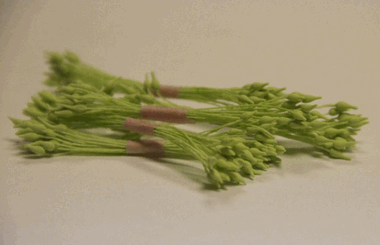 Светло-зеленые тычинки ― Hobby-Land