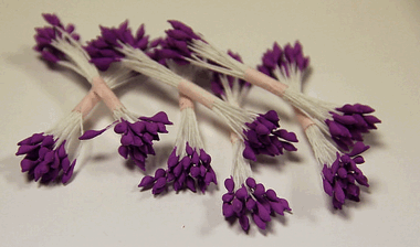 Сиреневые остроконечные тычинки ― Hobby-Land