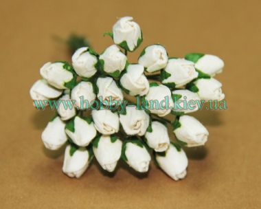 Роза белая ― Hobby-Land