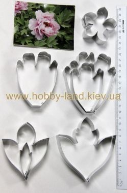 Каттер Пиона древовидного L ― Hobby-Land