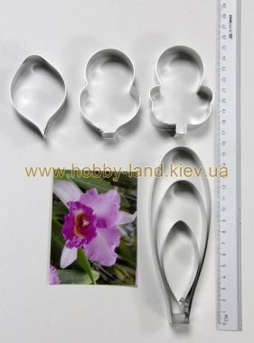 Катер орхидный  катлея  L-1 ― Hobby-Land