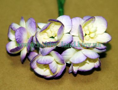 Цветы вишни желто-фиолетовые -  5 штук в 1 пучке  ― Hobby-Land