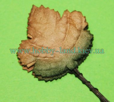 Лист винограда 10шт в пучке ― Hobby-Land