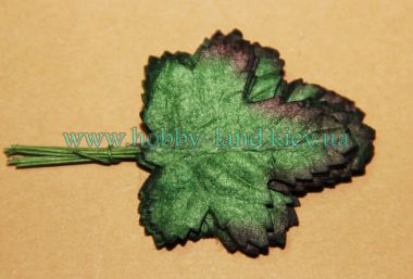 Лист винограда 10шт в пучке ― Hobby-Land