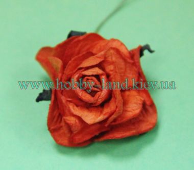 Гардении  крупные, оранжевый ― Hobby-Land