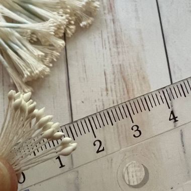 Мелкие остроконечные белые тычинки  ― Hobby-Land